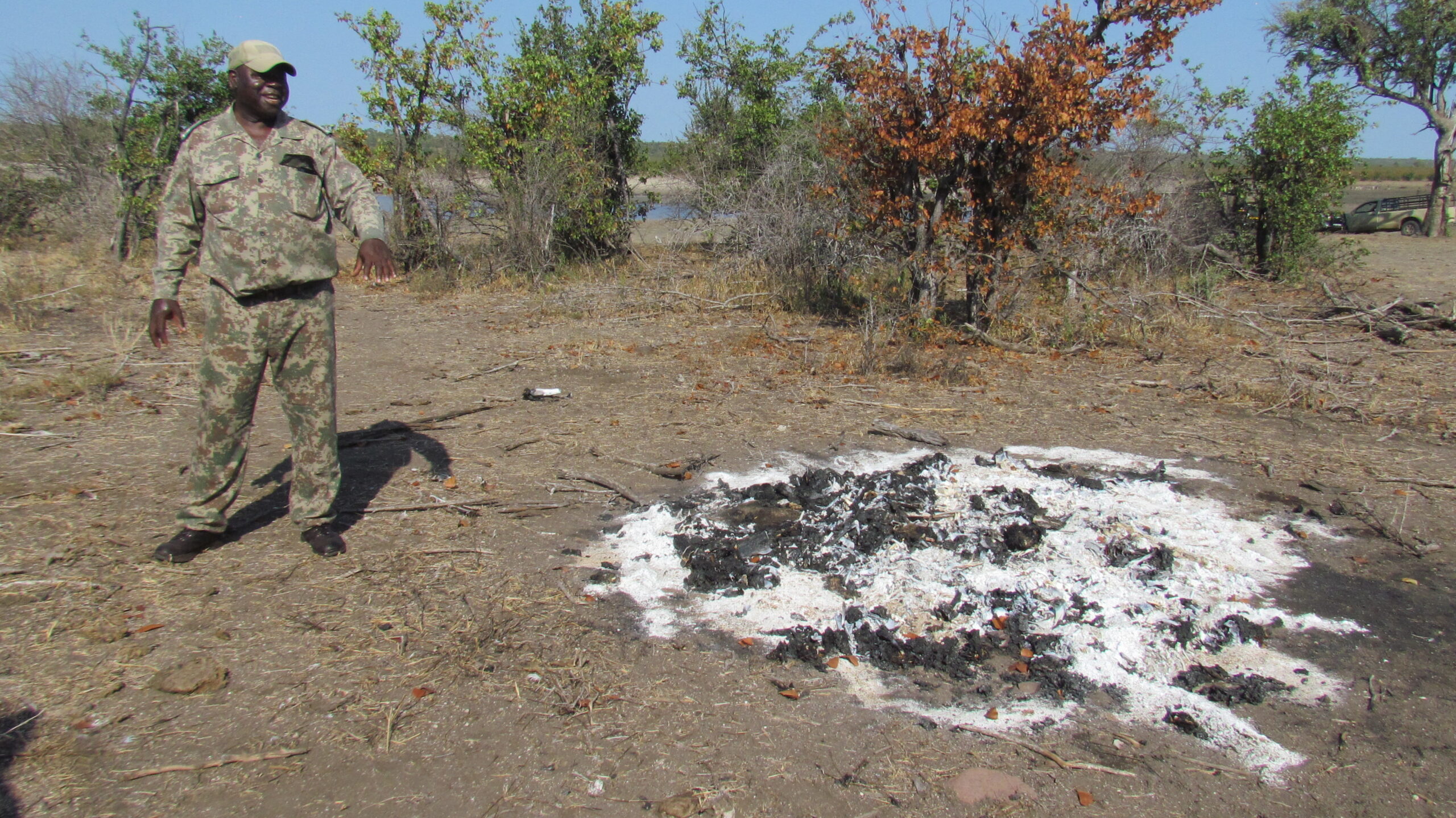 Sectional ranger Joe Nkuna standing pointing out crime, where 86 vultures killed photo by Dimakatso Modipa