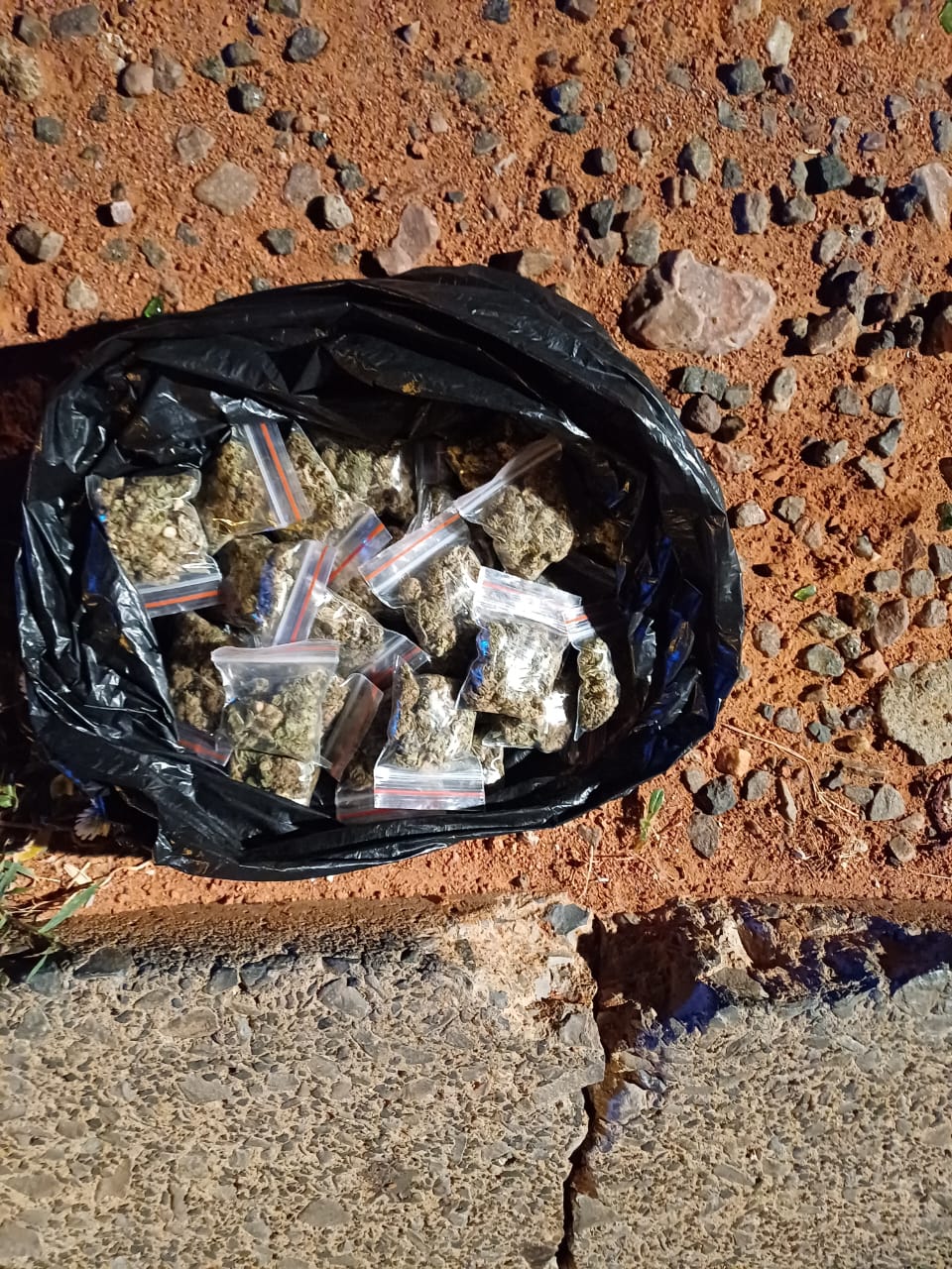 Some of the weed confiscated during Operation Shanela over Easter Weekend in Tshwane