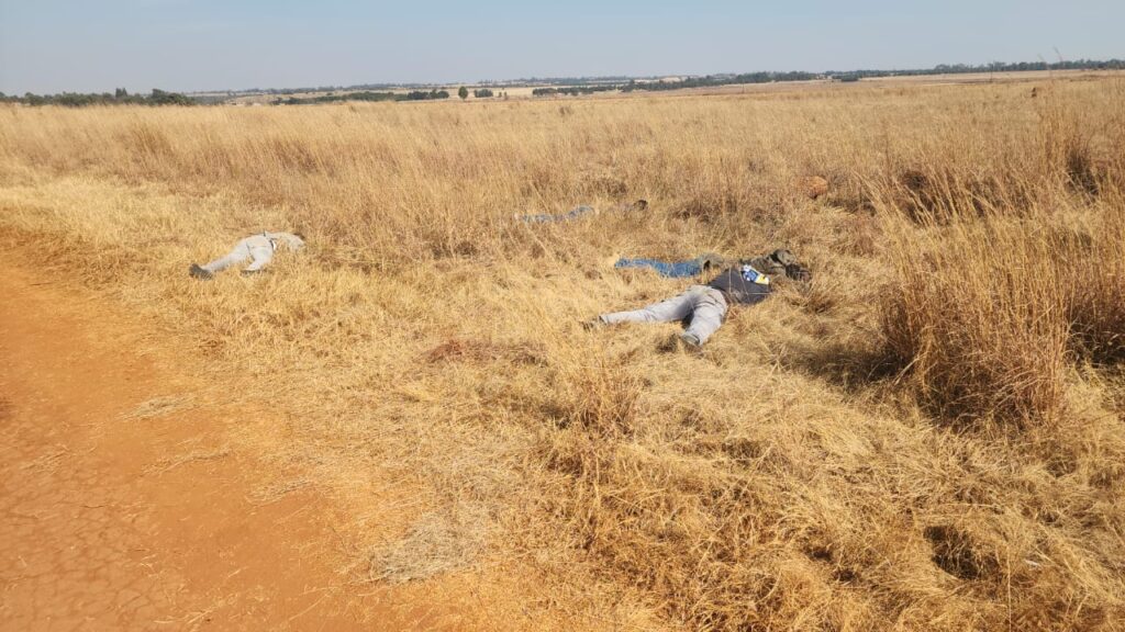 The bodies of 5 alleged Boko haram gang members dumped in the field