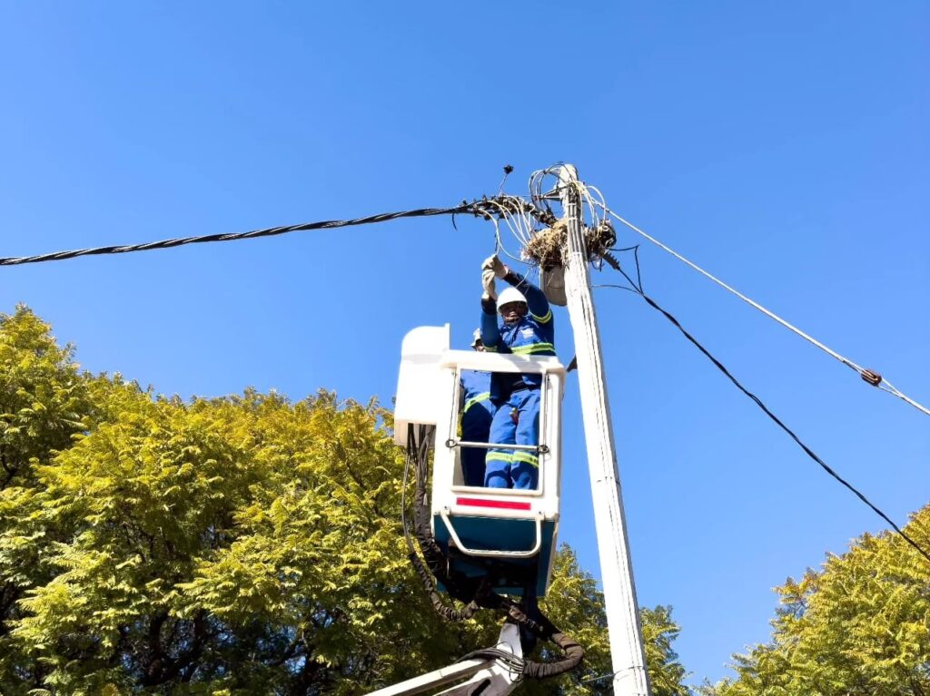 City of Tshwane official mounted on a cherry picker to disconnect electricity in Laudium on Thursday