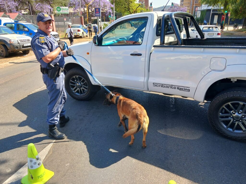 SAPS Sniffy dog during Operation Shanela in Sunnyside