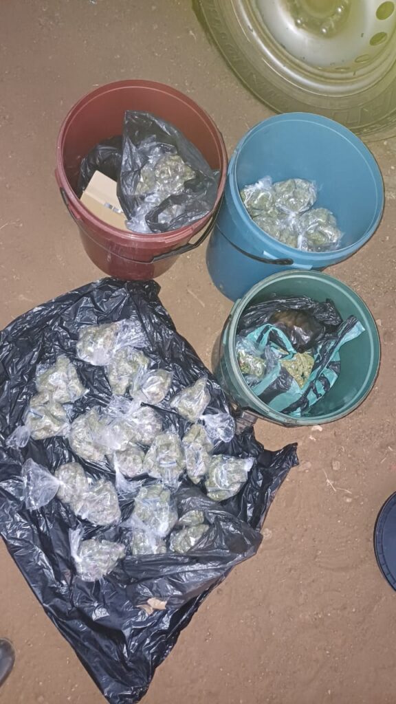 Some of the weeds and drugs found during Operation Shanela in Atteridgville 