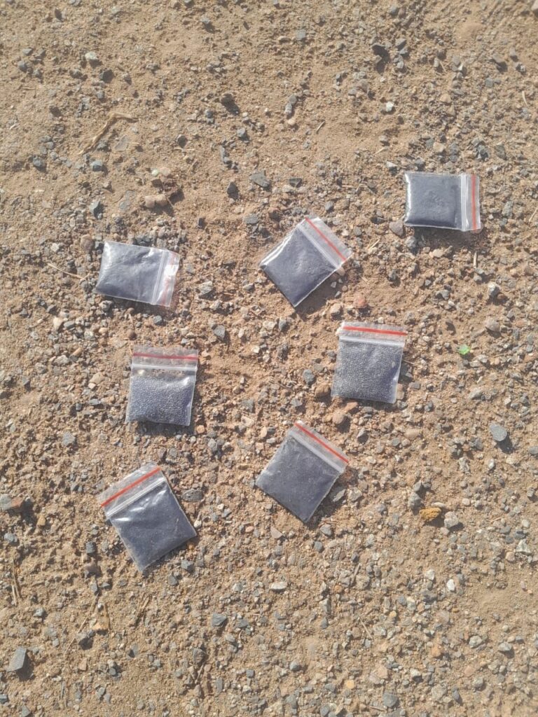 Some of the packets of Aldicarb ( Galephirimi) strewn in the streets of Phomolong Informal Settlement in Mamelodi East in the wee hours of Thursday