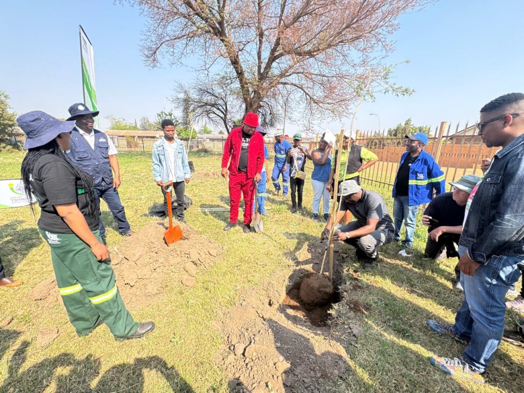 City of Tshwane officials plant trees in Hammanskraal Tshwane 