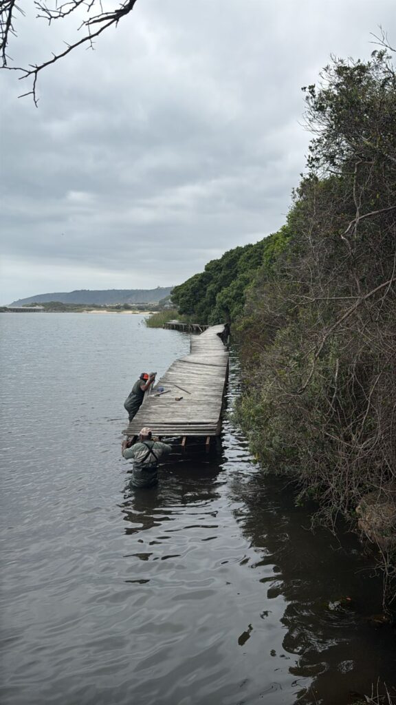 Maintenance teams carrying out repair work on the Waterside Boardwalk in the Wilderness Section photo supplied 