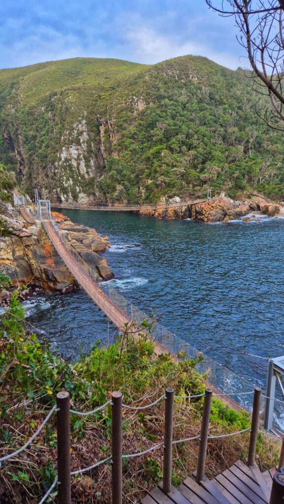  The Garden Route National Park readiness for the 2025 festive season across the three sections Wilderness, Tsitsikamma, and Knysna photos supplied 