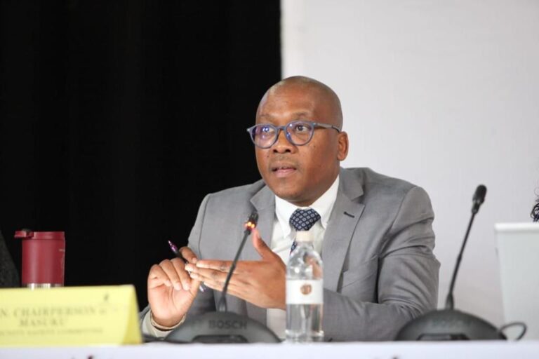 Chairperson of the community safety Committee Dr Bandile Masuku