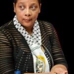 Dr Reneva Fourie political analyst specialising