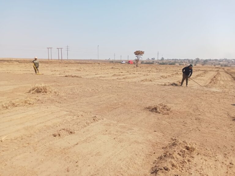 Ekangala residents clearing the empty land