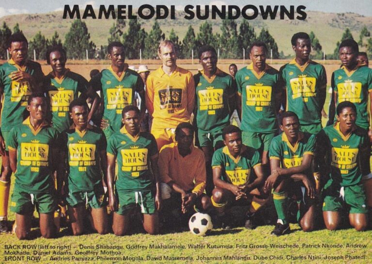 The Sundowns team that gained promotion in 1983