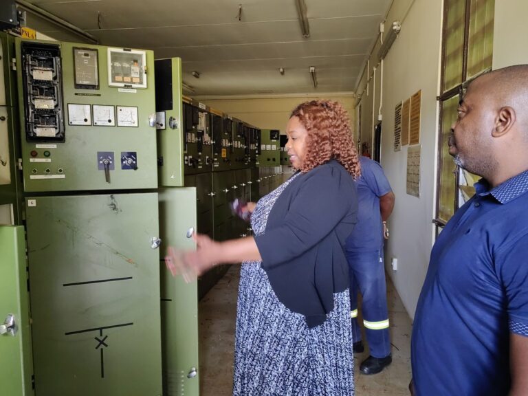 MMC for Corporate and Shared Services Kholofelo Morodi at the SSG Substation in Centurion