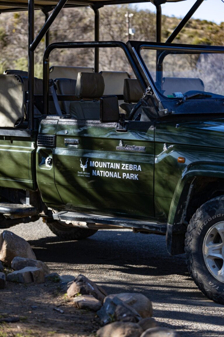 Mountain Zebra National Park