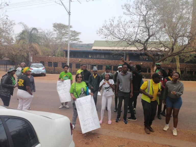 Felicia April ( green T-shirt and holding a placard) protesting with a group of residents outside the Lynnwood Ridge Primary School last year