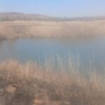 Mother and three siblings drowned at Delfie Quarry Dam, Mamelodi Tshwane photo supplied