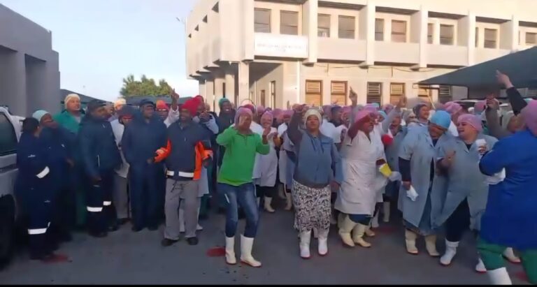 The Food and Allied Workers Union (FAWU) members employed at Lucky Star embark on protected strike action photo supplied