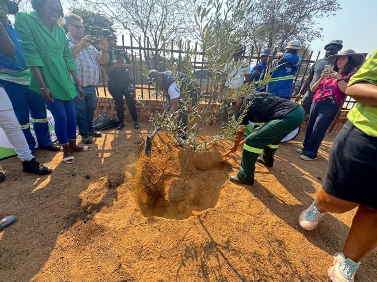 Nasiphi Moya City of Tshwane Executive Mayor plant a tree in Hammanskraal, Tshwane photo supplied