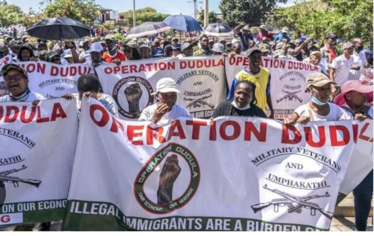 Operation Dudula members during a previous march