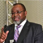 Gwede Mantashe Minister of Mineral and Petroleum Resources Photo supplied