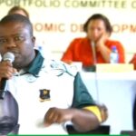 Lentle Moripe Activist