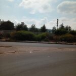 HM Pitje Stadium in Mamelodi west Tshwane look like a bush