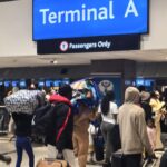 Ghana nation at O R Tambo International Airport going back home photo supplied